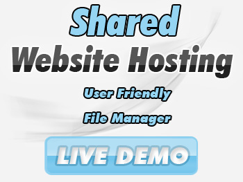 Website Hosting